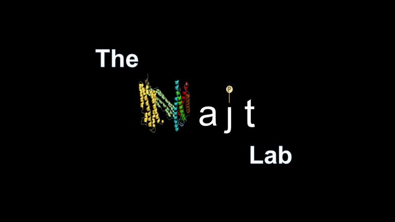 The Najt Lab written on a powerpoint slide with the N spelled out with double helix structures in yellow, blue, green, and red.